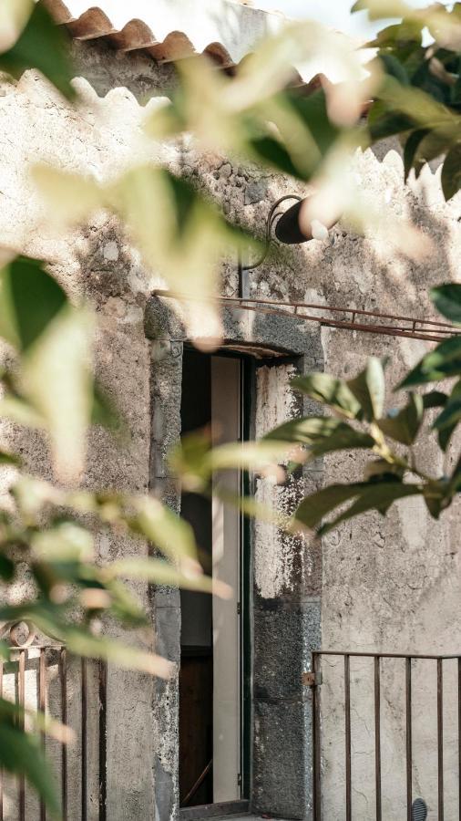Puleera Boutique Hotel جاري المظهر الخارجي الصورة