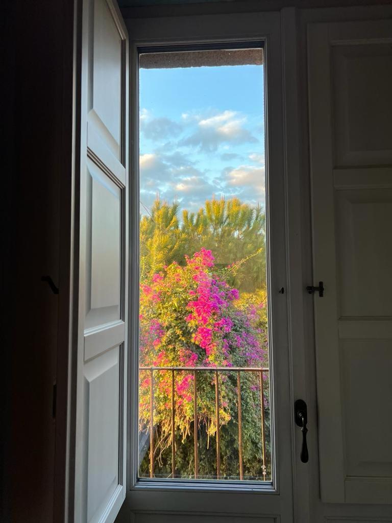 Puleera Boutique Hotel جاري المظهر الخارجي الصورة